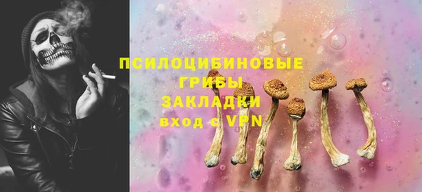 МДПВ Каменка