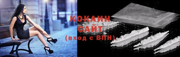 МДПВ Каменногорск