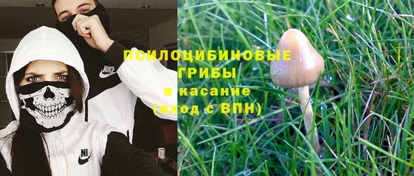 МДПВ Каменногорск