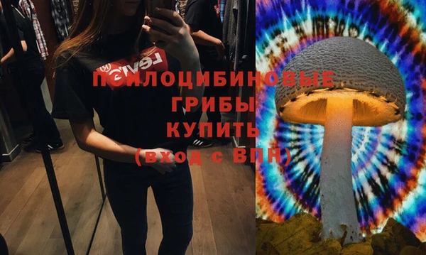 амф Каменск-Шахтинский