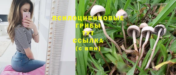 мяу мяу мука Кострома