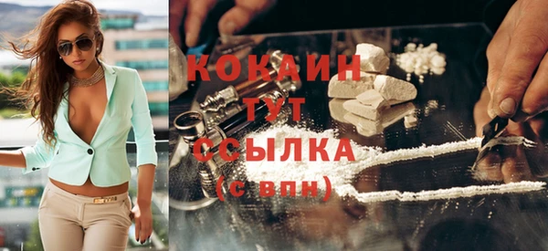 МДПВ Каменка