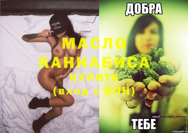 МДПВ Каменка