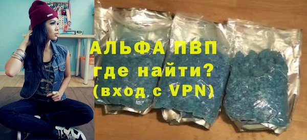 МДПВ Каменка