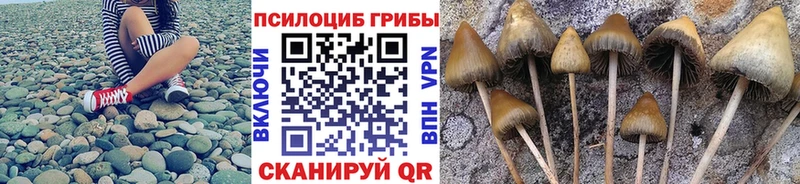 Галлюциногенные грибы мухоморы  Купить  Задонск 