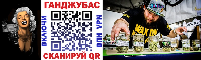 Купить закладки  Задонск  Бошки Шишки White Widow 